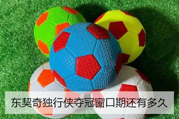 东契奇独行侠夺冠窗口期还有多久